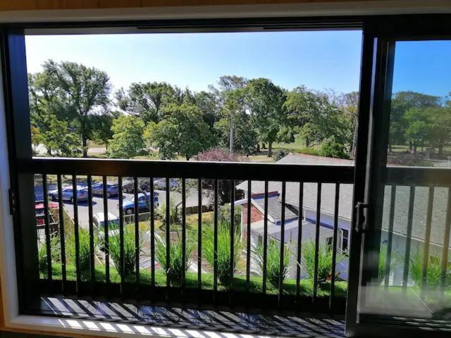Cozy 1Br Apartment With Hagley Park View Christchurch Luaran gambar